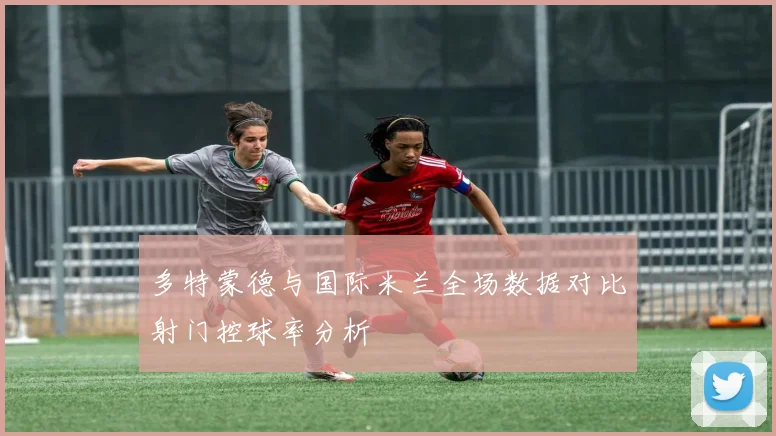 多特蒙德与国际米兰全场数据对比射门控球率分析