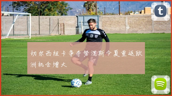 切尔西纽卡争夺努涅斯今夏重返欧洲机会增大