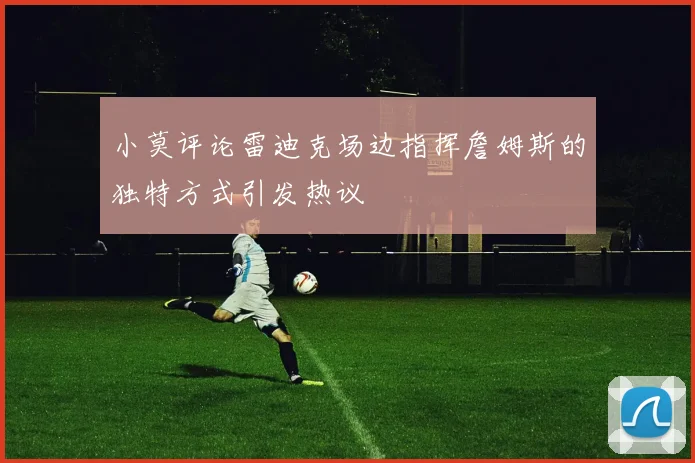 小莫评论雷迪克场边指挥詹姆斯的独特方式引发热议